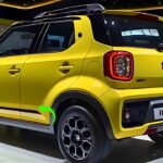 maruti ignis terra